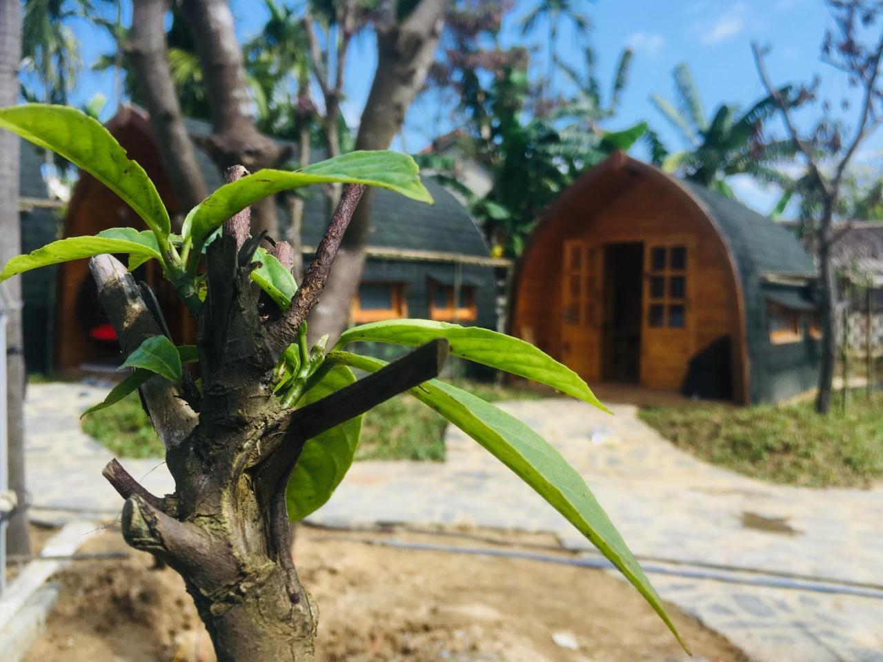 Coco-Farm Hoi An Apartman Kültér fotó